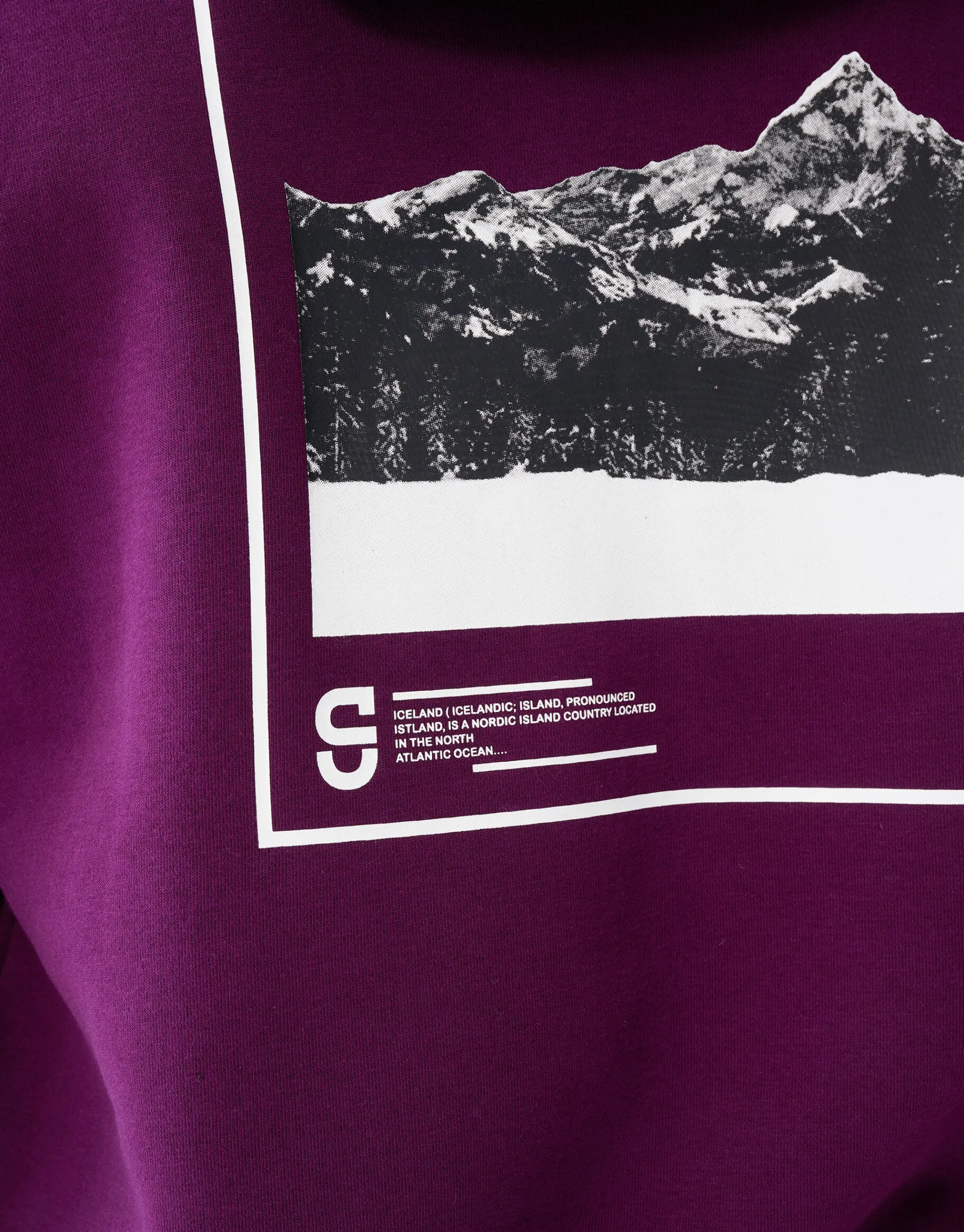 Shoeby Artwork Hoodie Donkerrood<Heren Truien En Sweaters