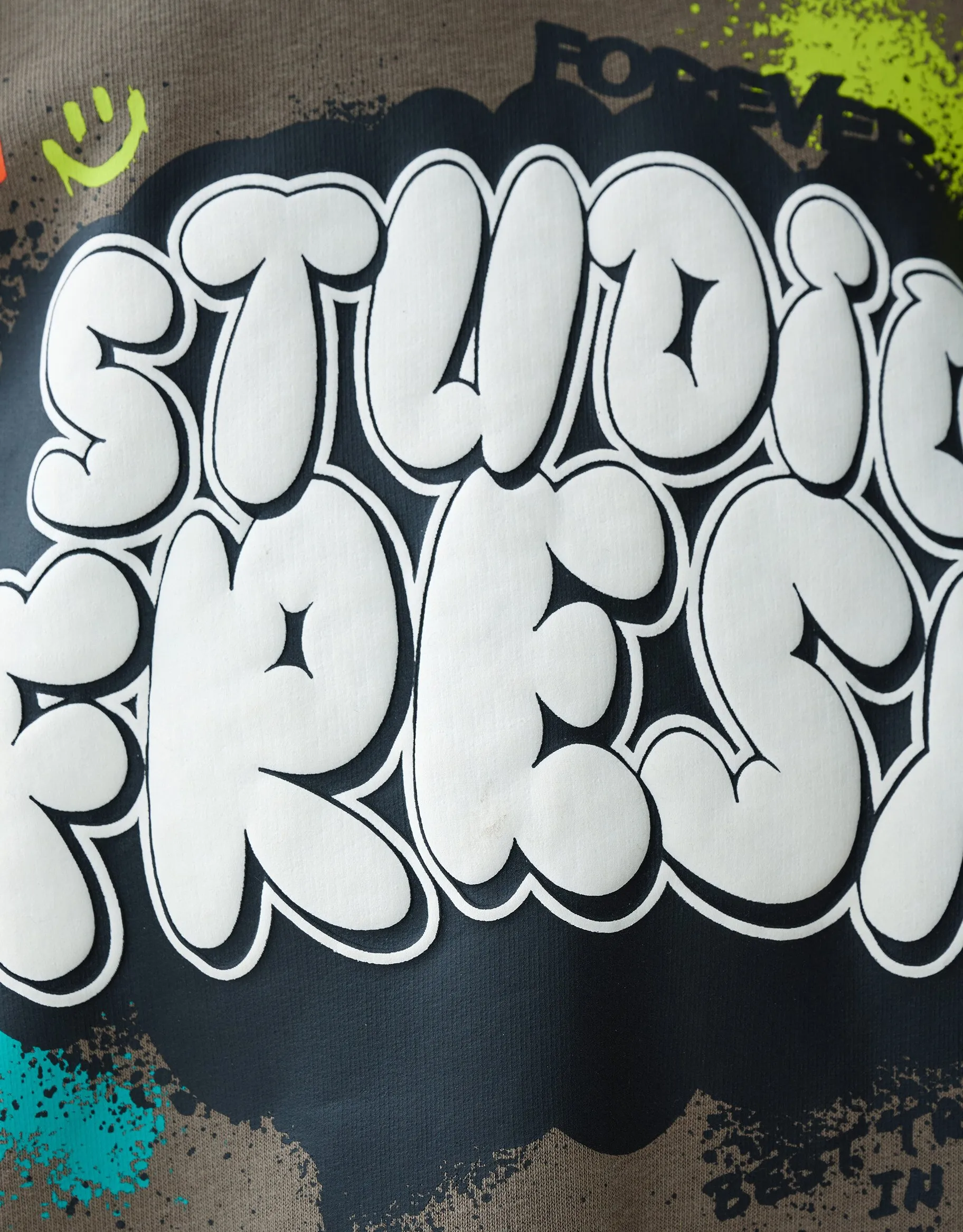 Shoeby Artwork Hoodie Groen< Gebreide Truien|Hoodies