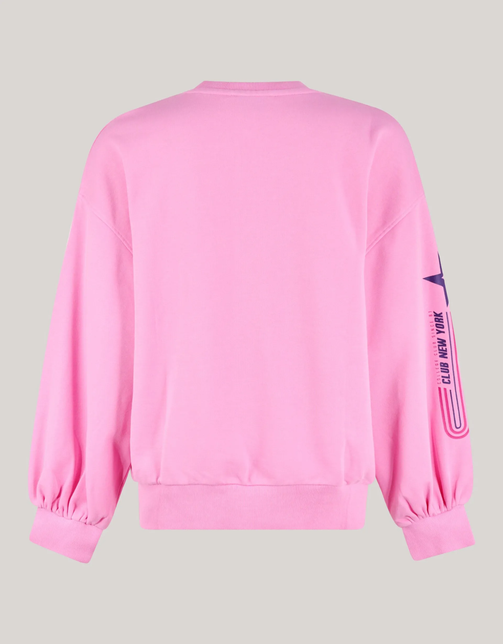 Shoeby Artwork Sweater Roze<DAMES Truien En Sweaters