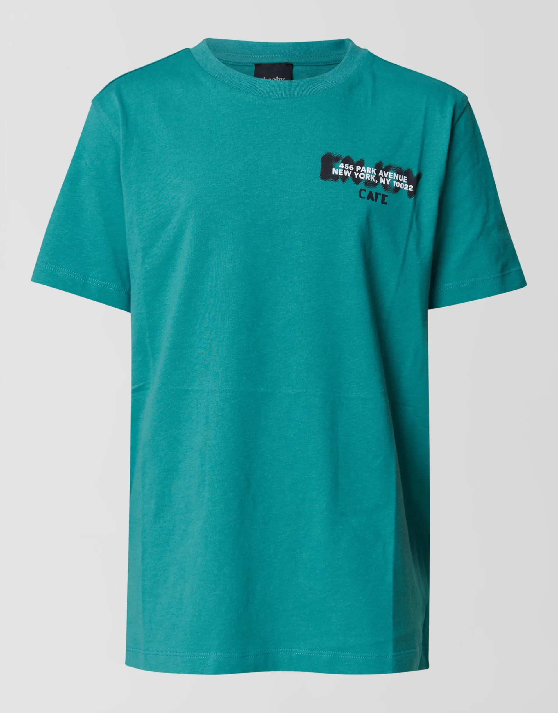 Shoeby Artwork T-shirt Groen< T-Shirts