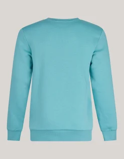 Shoeby Badge Sweater Lichtgroen<Heren Truien En Sweaters
