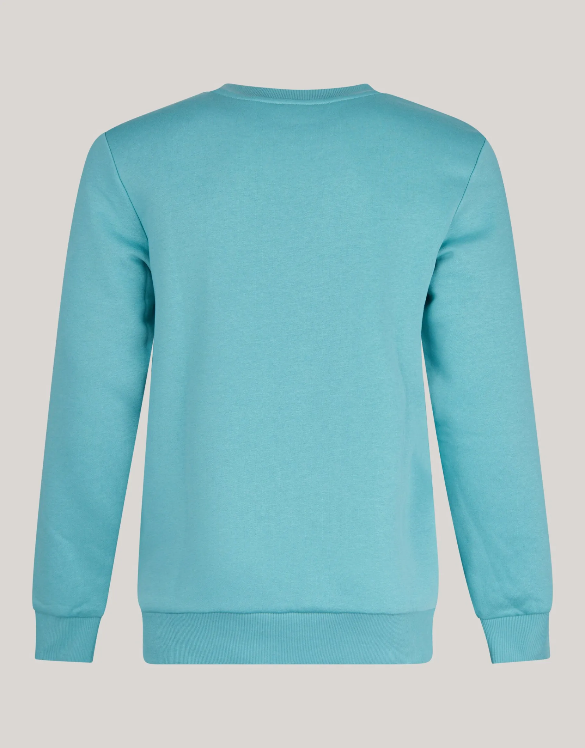 Shoeby Badge Sweater Lichtgroen<Heren Truien En Sweaters