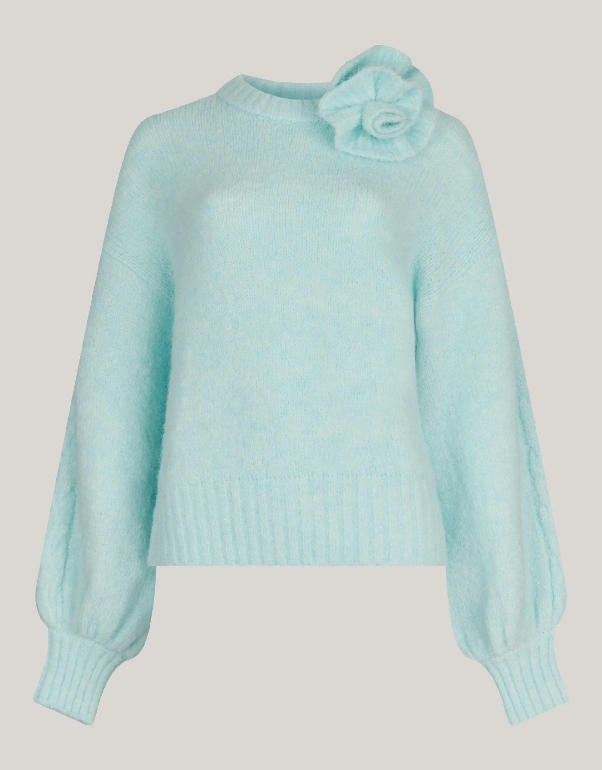 Shoeby Bloem Trui Lichtblauw<DAMES Truien En Sweaters