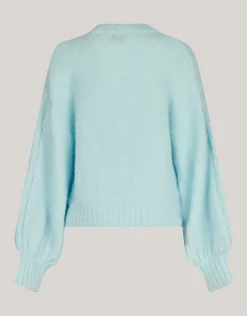Shoeby Bloem Trui Lichtblauw<DAMES Truien En Sweaters