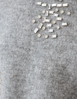 Shoeby Embellished Trui Grijs By Fred<DAMES Truien En Sweaters