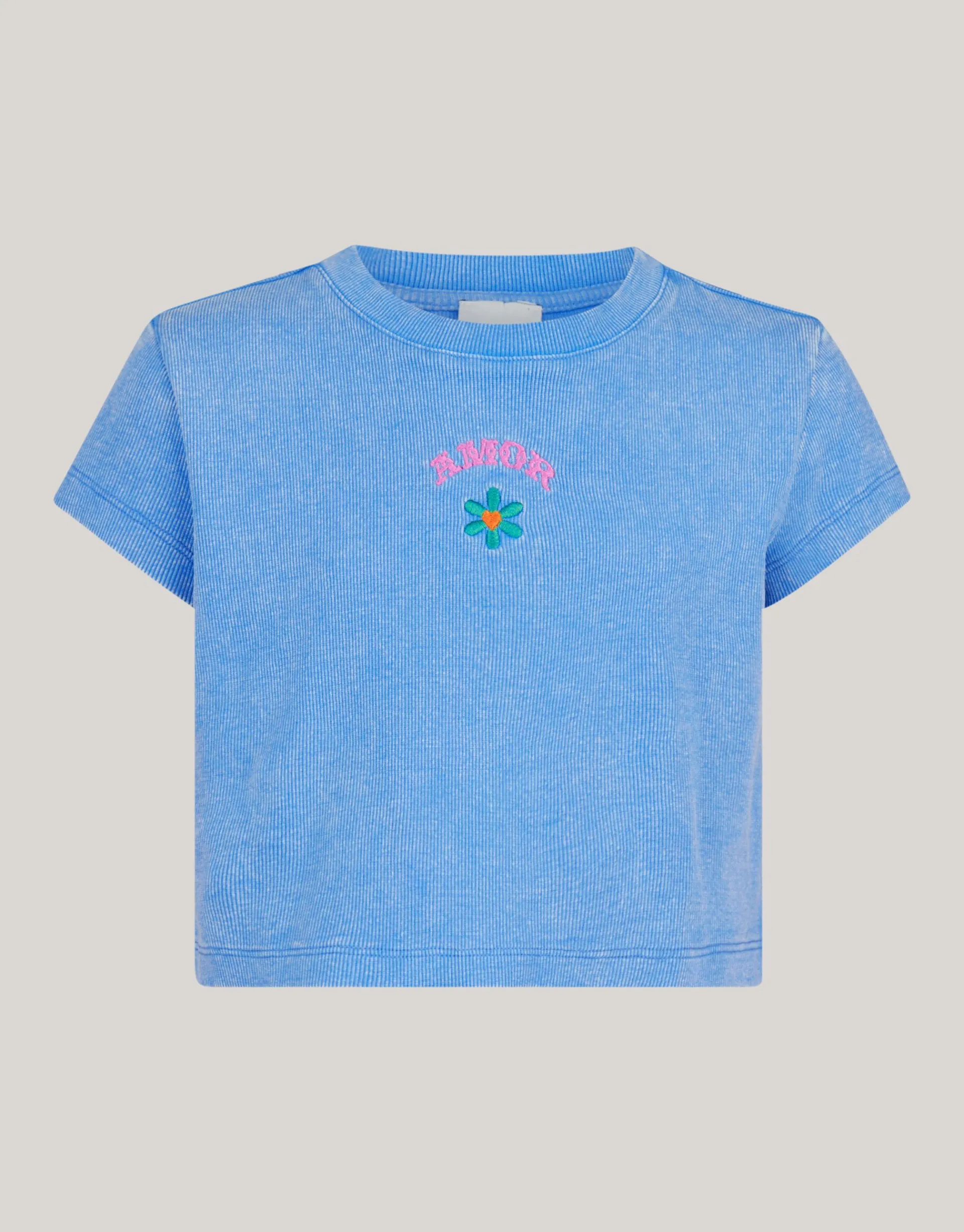 Shoeby Embroidery Crop Top Blauw< T-Shirts