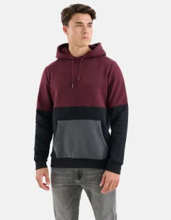 Shoeby Gekleurde Contrast Hoodie Zwart<Heren Truien En Sweaters
