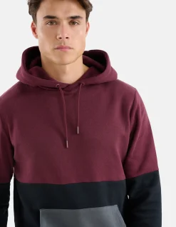 Shoeby Gekleurde Contrast Hoodie Zwart<Heren Truien En Sweaters