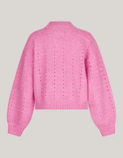 Shoeby Open Trui Roze<DAMES Truien En Sweaters