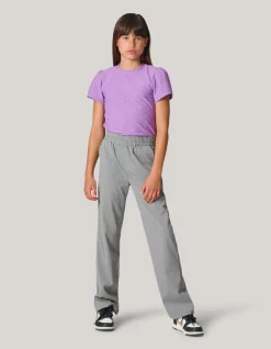 Shoeby Pinstripe Strass Pantalon Lichtgrijs< Broeken