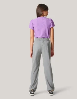 Shoeby Pinstripe Strass Pantalon Lichtgrijs< Broeken