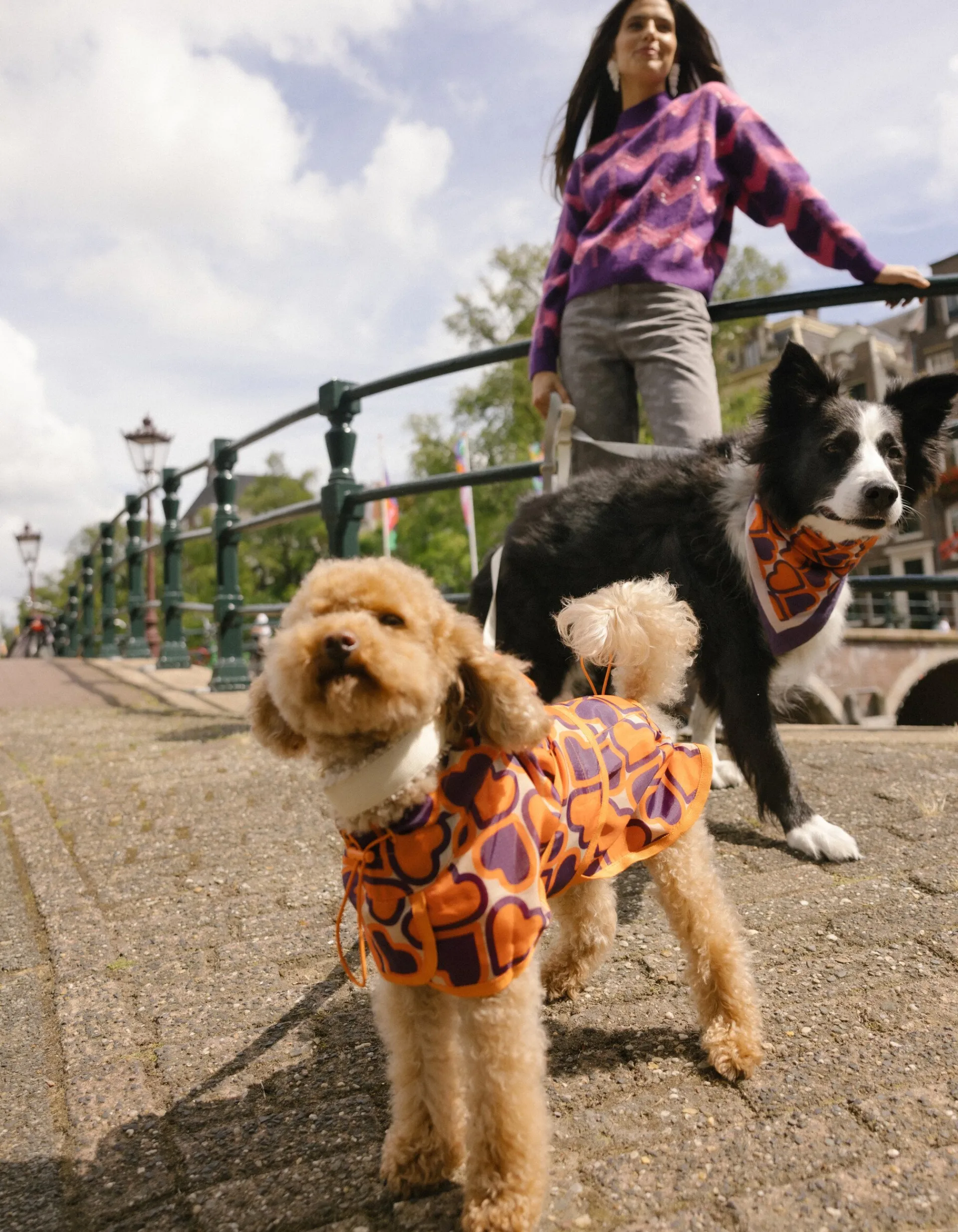 Shoeby Printed Honden Regenjas Oranje By Furmey<DAMES Overige Accessoires|Overige Accessoires