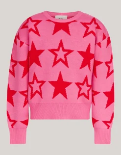 Shoeby Printed Trui Roze< Gebreide Truien