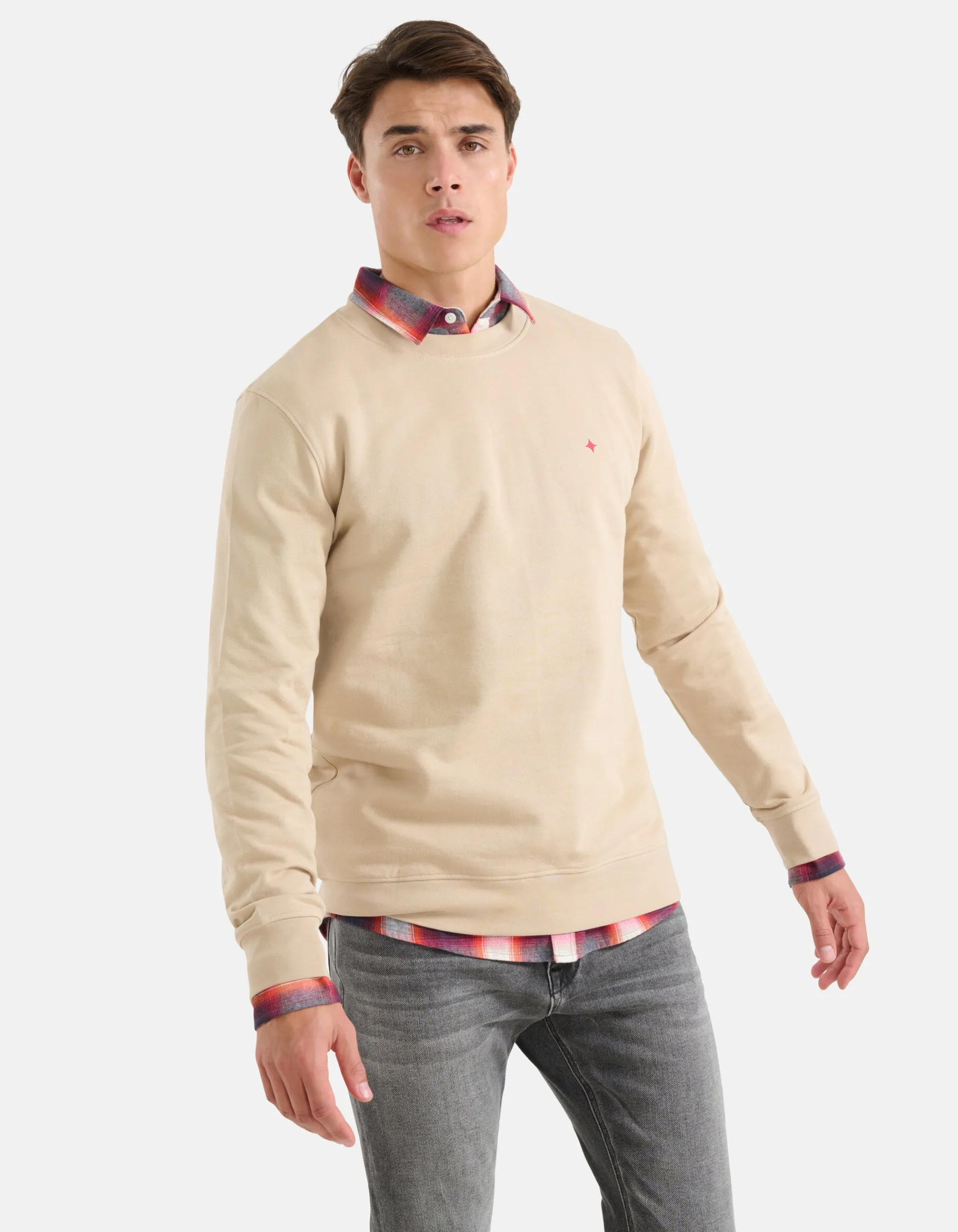 Shoeby Sparkle Sweater Beige<Heren Truien En Sweaters