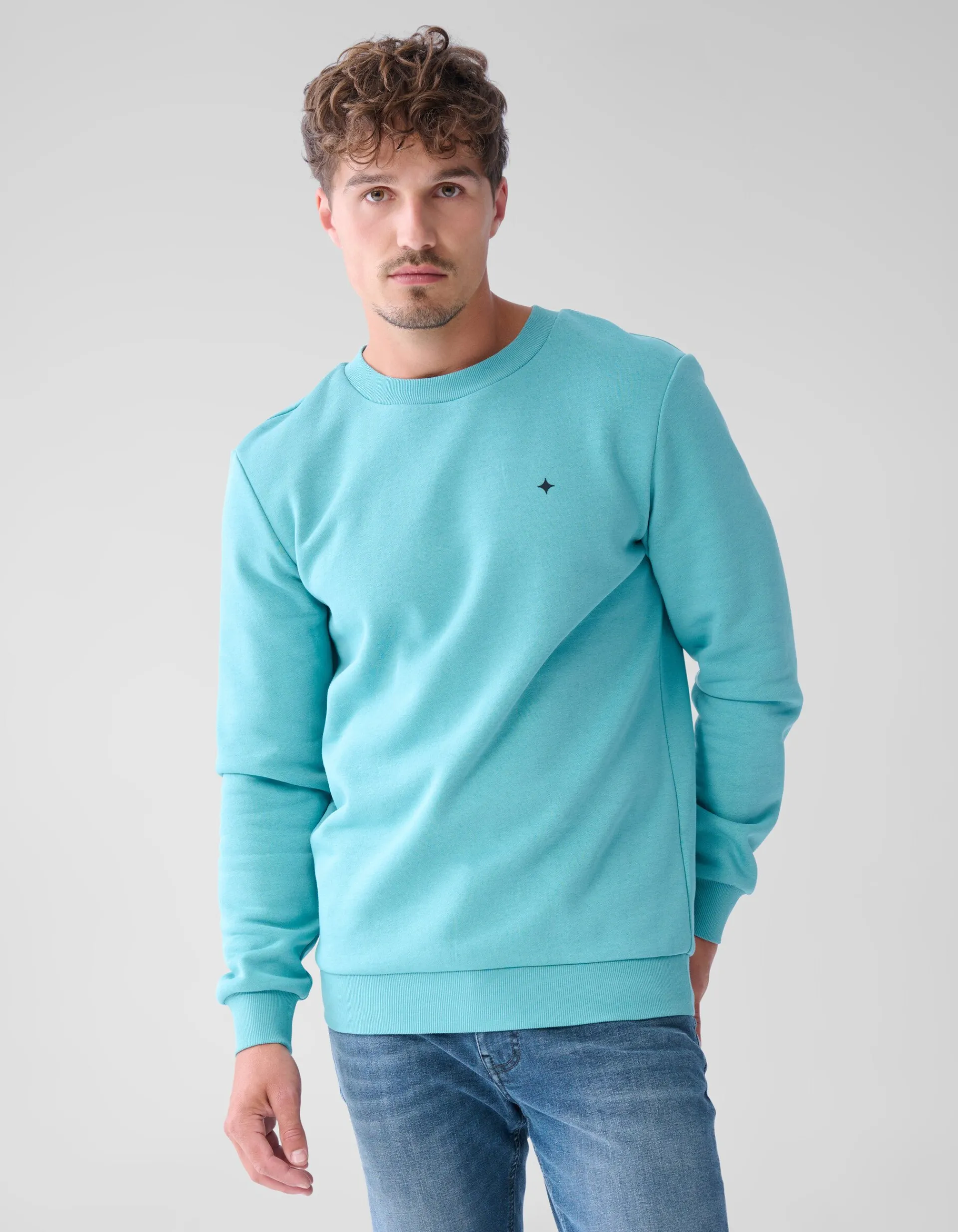 Shoeby Sparkle Sweater Lichtgroen<Heren Truien En Sweaters