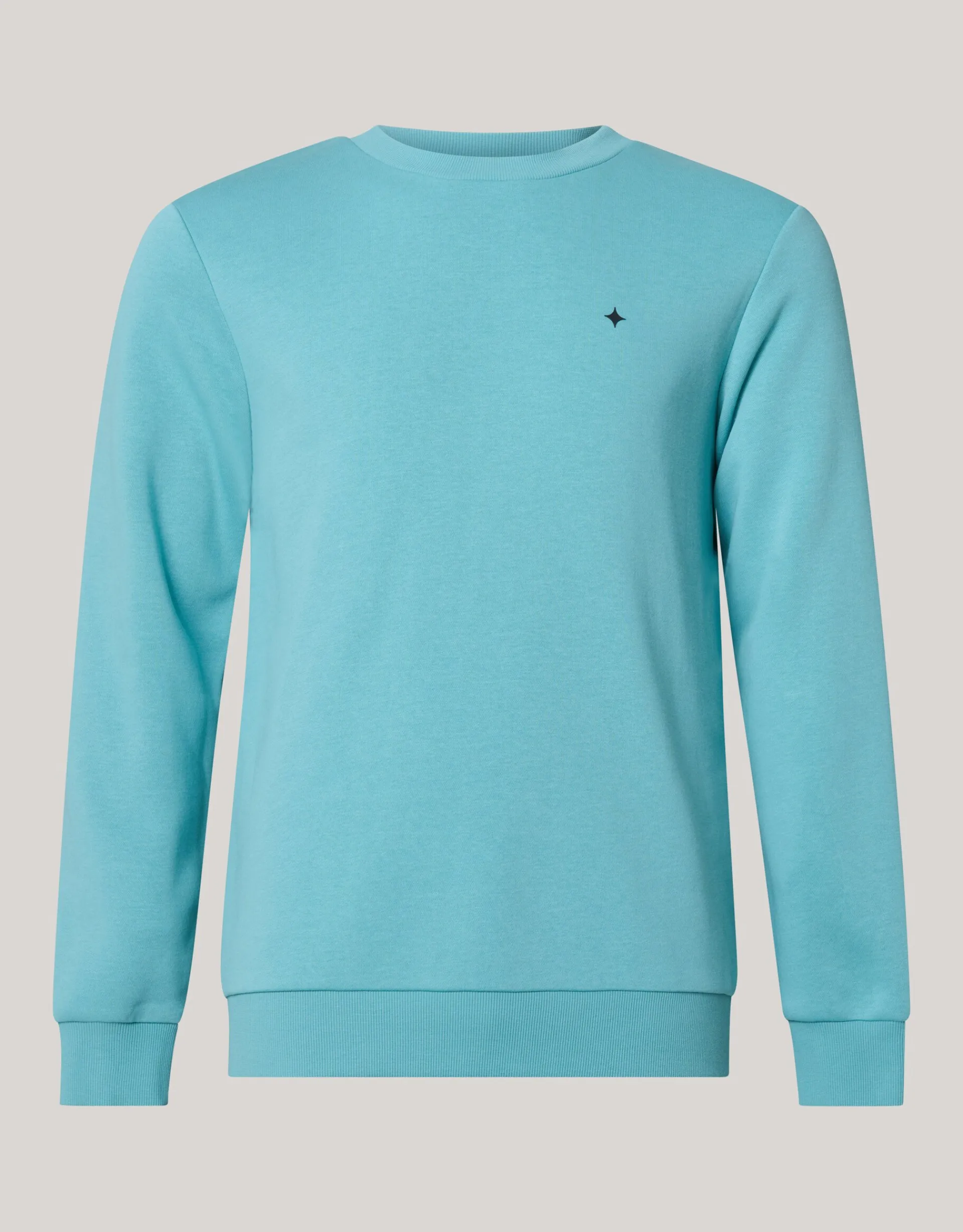 Shoeby Sparkle Sweater Lichtgroen<Heren Truien En Sweaters