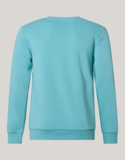 Shoeby Sparkle Sweater Lichtgroen<Heren Truien En Sweaters