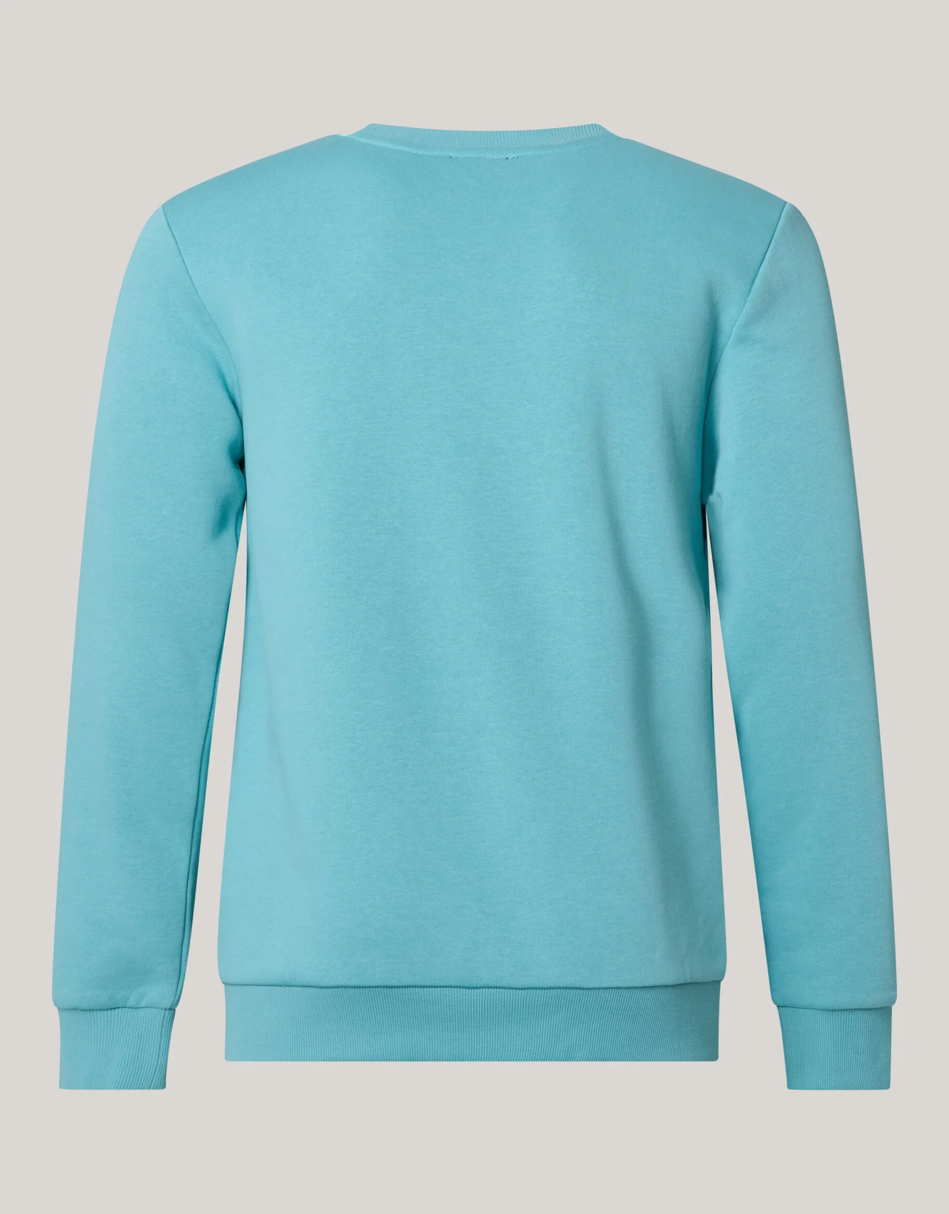 Shoeby Sparkle Sweater Lichtgroen<Heren Truien En Sweaters