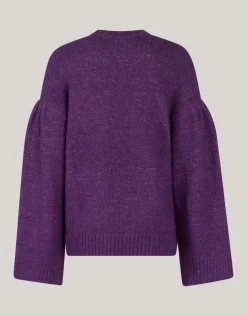 Shoeby Straight Sleeve Trui Donkerpaars<DAMES Truien En Sweaters