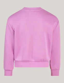 Shoeby Strik Sweater Roze< Sweaters En Hoodies