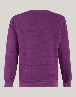 Shoeby Structuur Sweater Donkerrood<Heren Truien En Sweaters