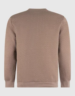 Shoeby Structuur Sweater Lichtbruin<Heren Truien En Sweaters