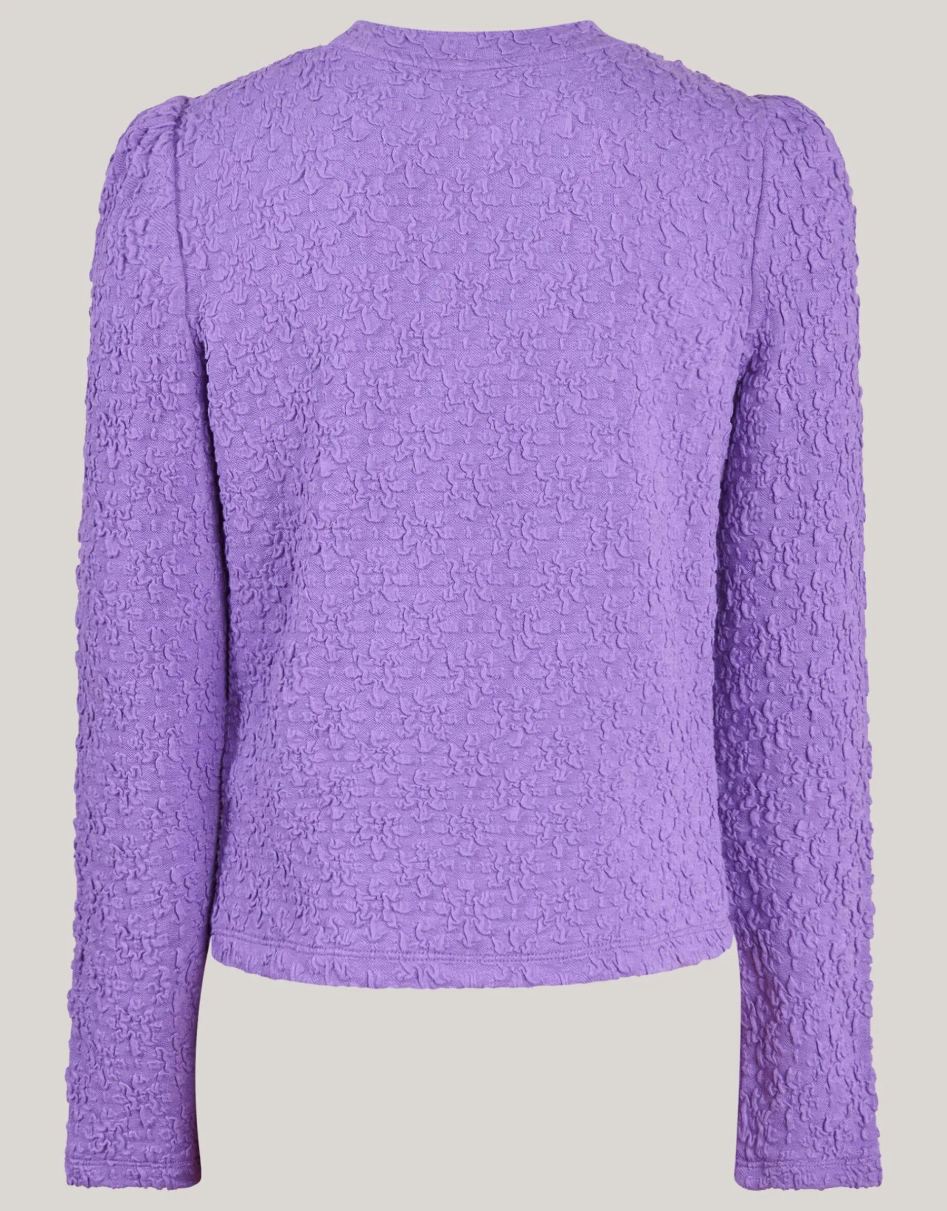 Shoeby Structuur Top Paars< Tops Lange Mouw