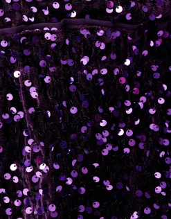 Shoeby Velvet Pailletten Mini Rok Paars< Rokken