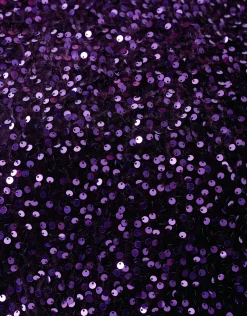 Shoeby Velvet Pailletten Top Donkerpaars<DAMES Tops