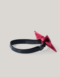 Shoeby Vlinderstrik Rood< Overige Accessoires