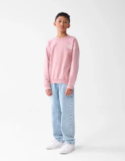 Shoeby Washed Artwork Sweater Donkerroze< Gebreide Truien|Sweaters