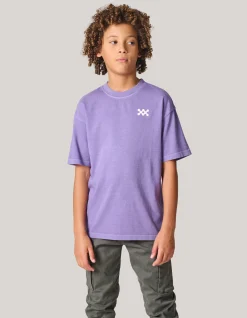 Shoeby Washed Logo T-shirt Paars< T-Shirts